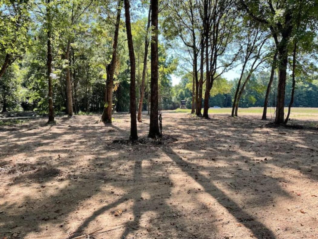 Charming Tiny Home! Close To Oxford, Sardis Lake, Safari Animal Zoo Exterior foto